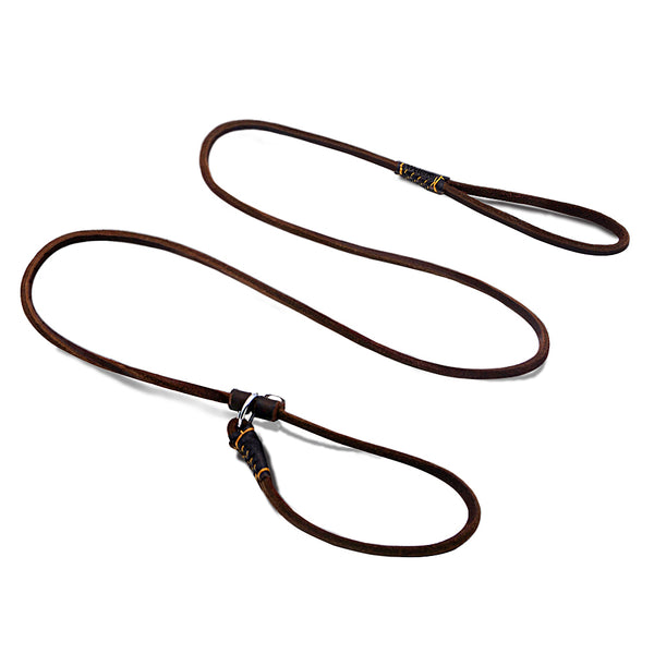 Adjustable Leather Slip Dog Leash - Slim & Soft for Small Dogs (160cm, Brown)