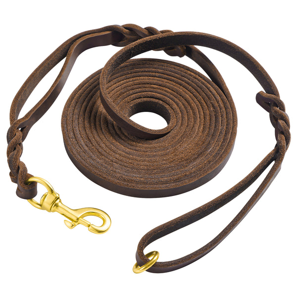 15ft Braided Dog Leash